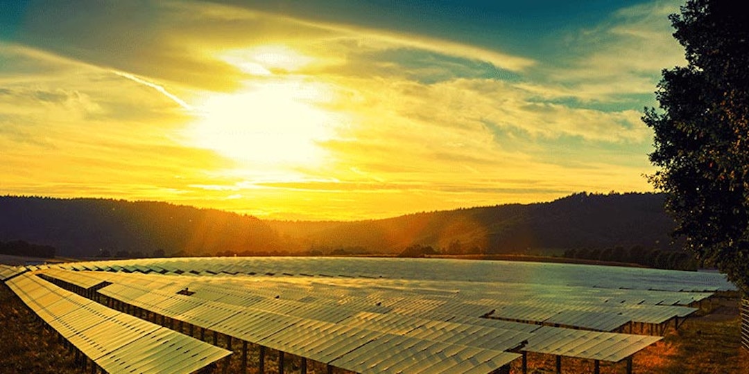 nsw solar farm during bright yellow sunset