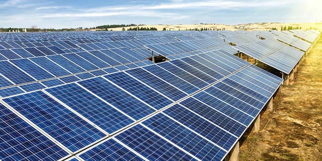 sun drenched solar farm in NSW