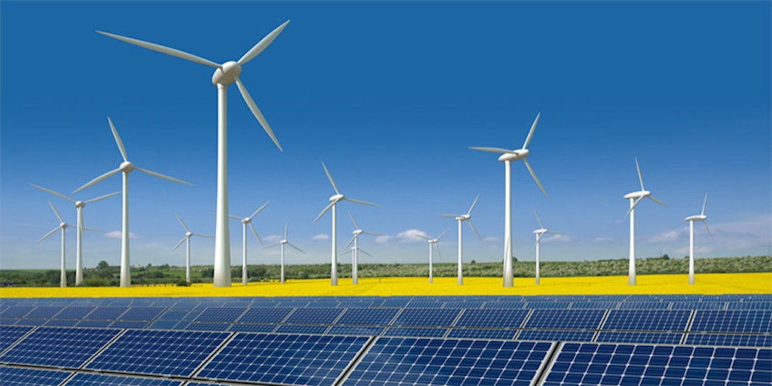 solar farm with wind turbines in daffodil field towards horizon