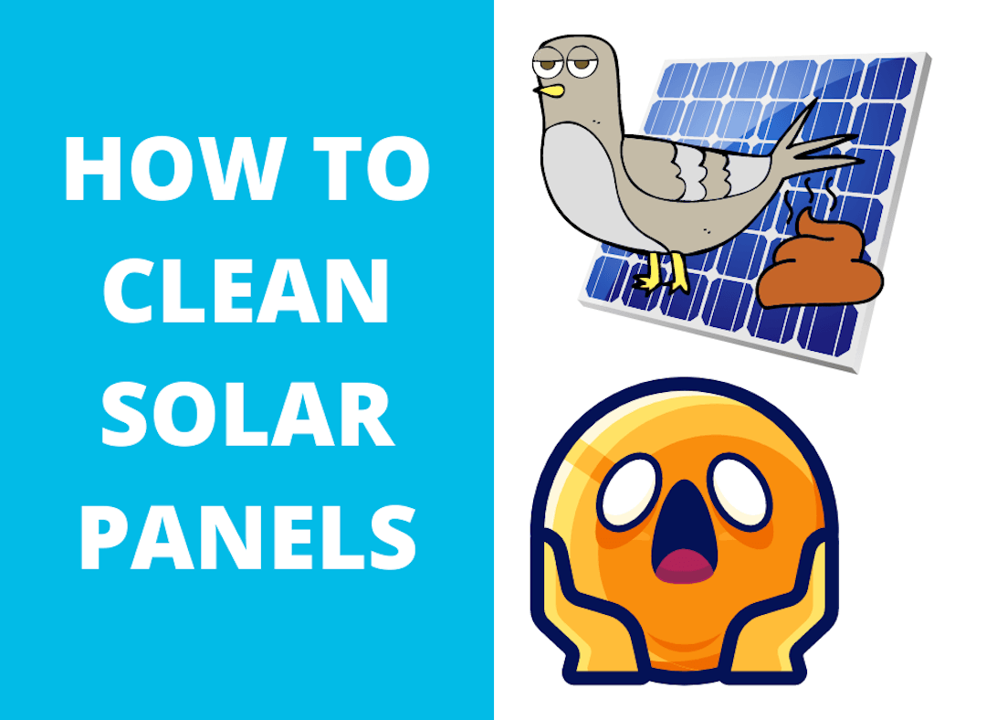 solar panel cleaning