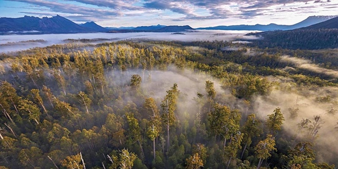elevated view of Tasmanian world heritage area with fog in trees 