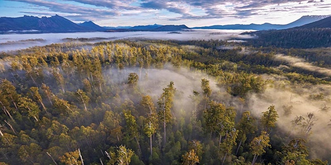 elevated view of Tasmanian world heritage area with fog in trees 